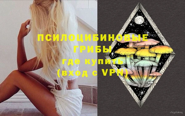 гидропоника Бородино